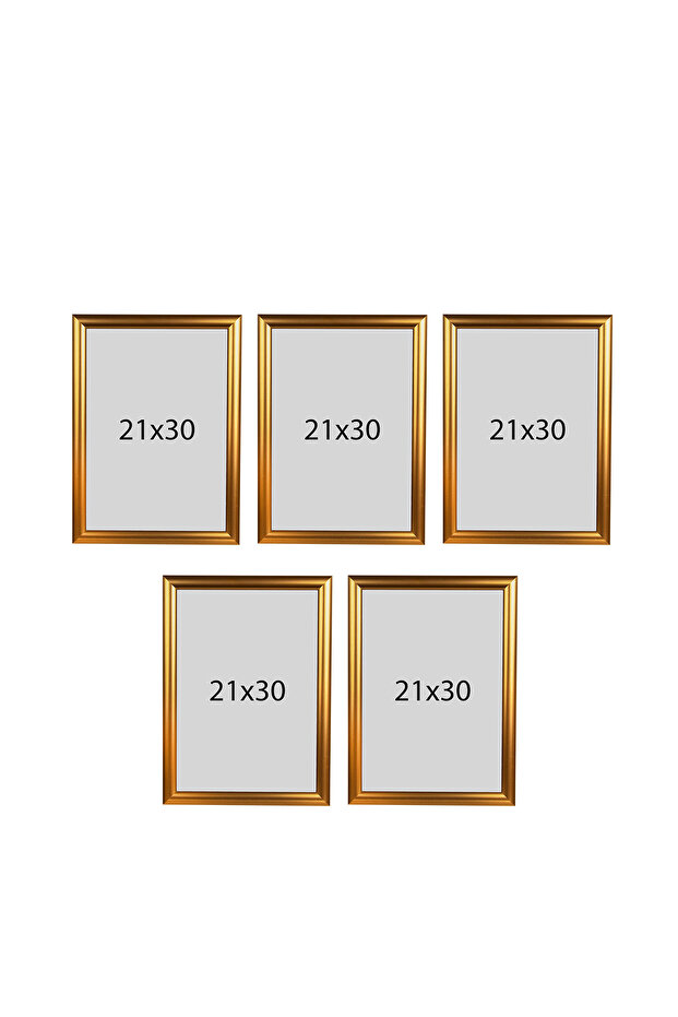 21x30 (A4) 5 إطارات (جودة) موديل PVC Li