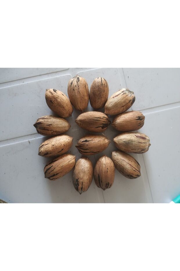 Pikan 2 kg