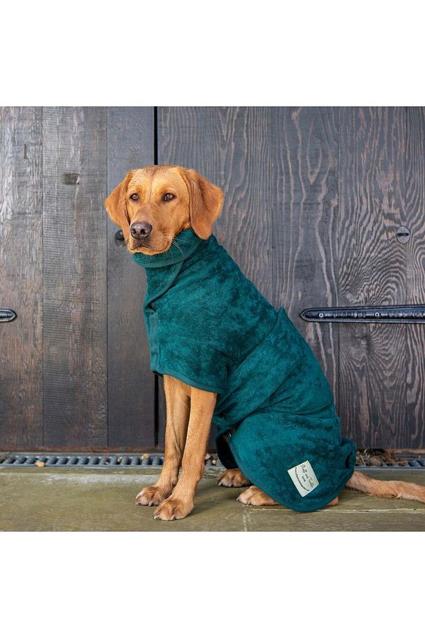 Köpek Bornozu Yeşil M - 2
