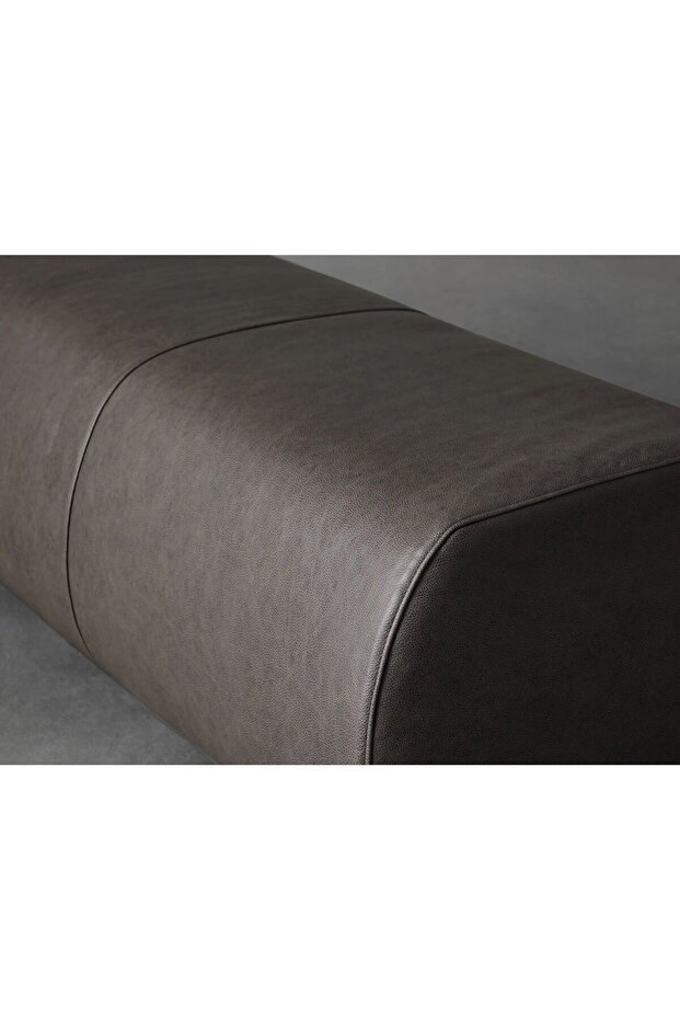 ARYA DERİ BENCH SİYAH - 2