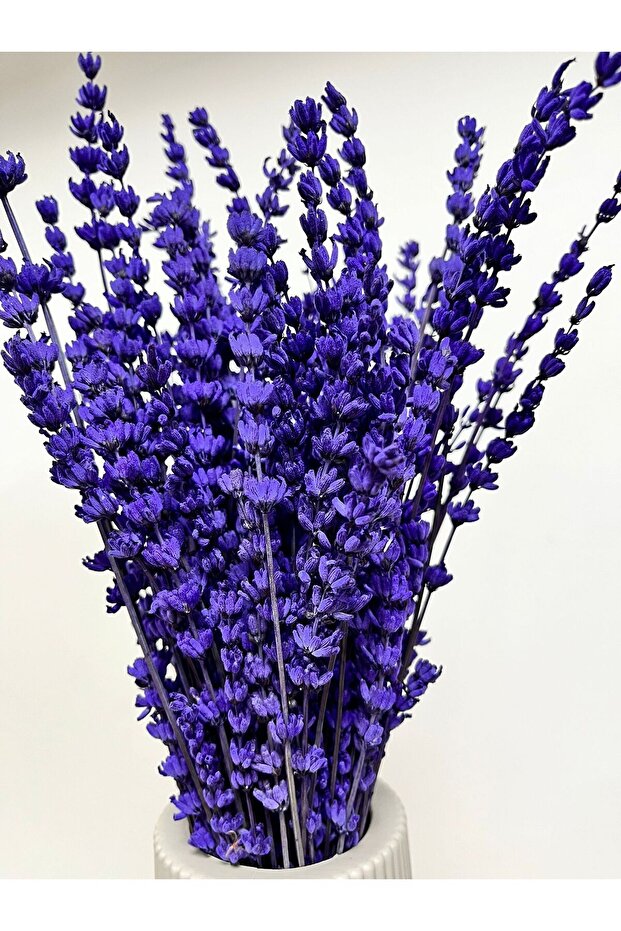 ŞOKLANMIS MOR LAVANTA - 8