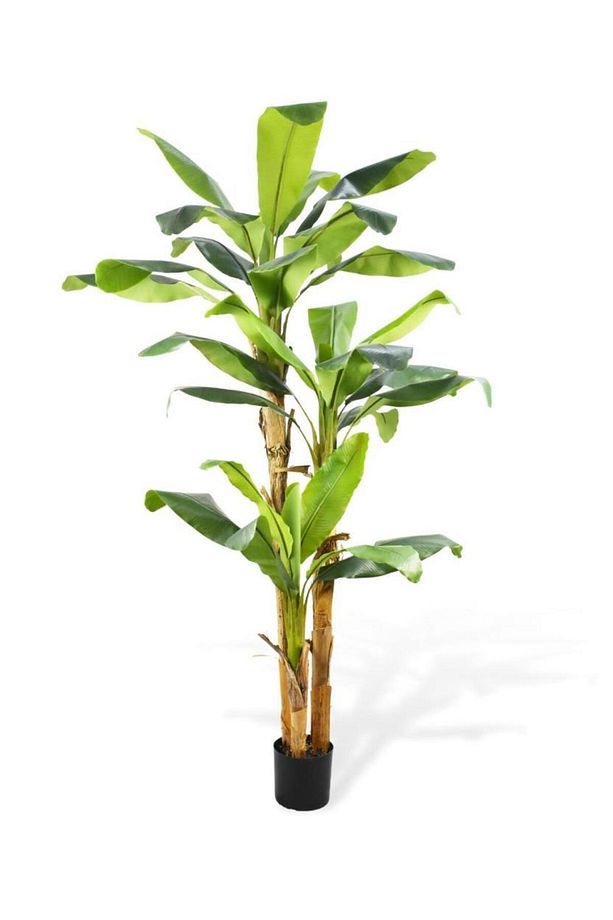 Yapay Ağaç Dev Muz Ağacı Yapay Starliçe 280cm 3 Gövdeli - 1