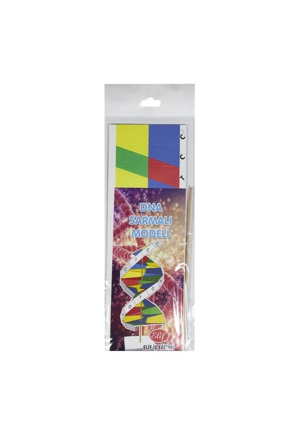 Karton Dna Sarmalı Modeli - 2