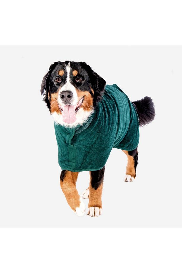 Köpek Bornozu Yeşil M - 3