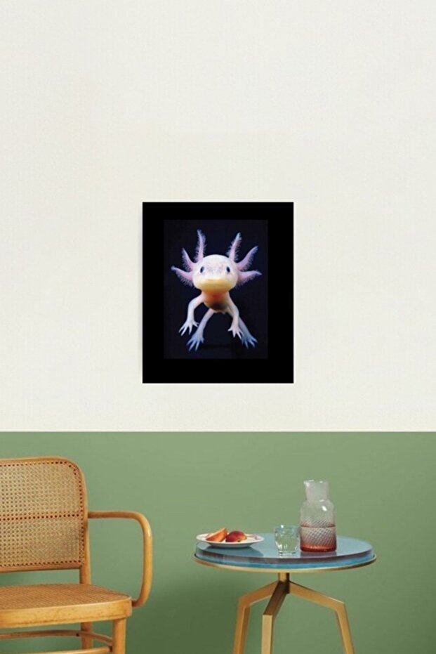 Axolotl Meksikalı Yürüyen Balık Sevimli Amfibi Axolotl Tablo Ahşap Poster Dekoratif - 3