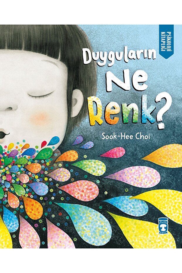 Duyguların Ne Renk (Sook-Hee Choi)