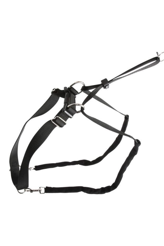 Dog Training Collar - 45 - 60 cm - L