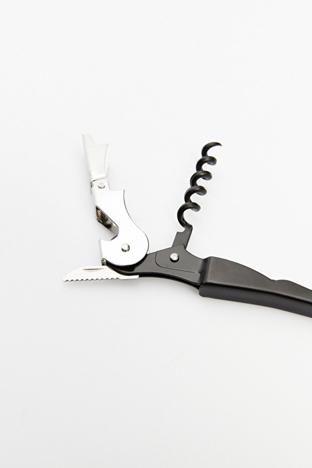 Çift Fonksiyonlu Türbişon - 4