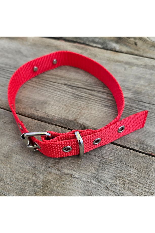 Köpek tas - 5