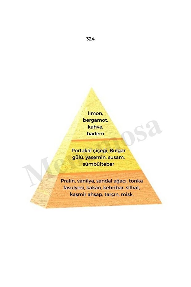 324 611 Kadın/erkek Parfüm Edp 50 ml Oriental/woody - Mnms50324611 - 3