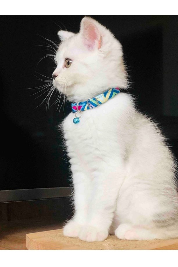 Ayarlanabilir Renkli Graffiti Kedi Ve Küçük Irk Köpek Tasması (ZİL RENKLERİ DEĞİŞEBİLİR) - 1