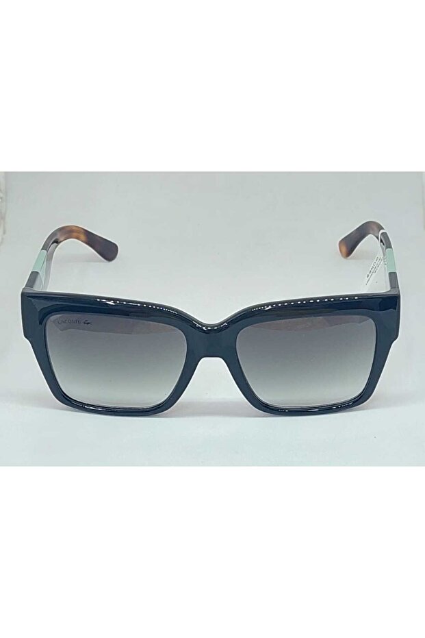 6033S C001 Model Sun Hood