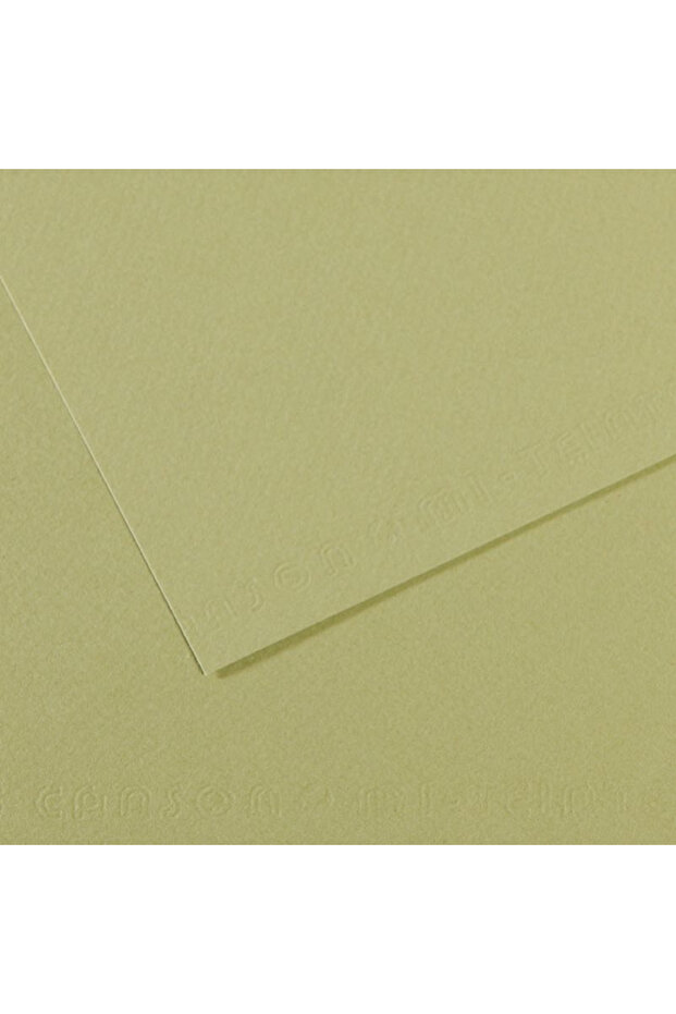 Fon Card 50X65 160g (Pack of 25) Light Green 480 200321164[Sub_Name]