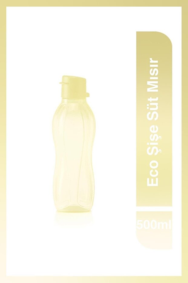 500 ML ŞİŞE - 1