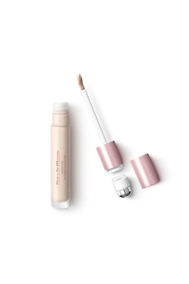DAYS IN BLOOM HIDE&SHINE ALL-OVER CONCEALER Kapatıcı 01 Ivory - 1