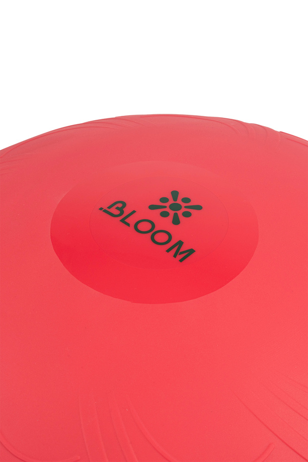 LB7052 Mini Bosu Topu Pembe - 2