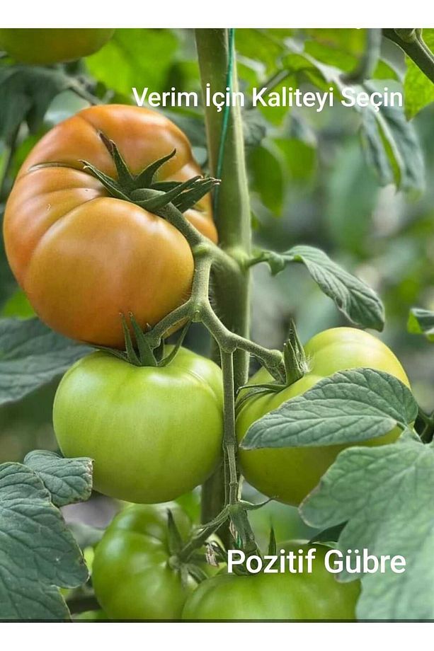 Npnutrıplus 12-12-12 Azotlu Fosforlu Potasyumlu N-p-k Dengeli Sıvı Gübre 5 Litre - 3