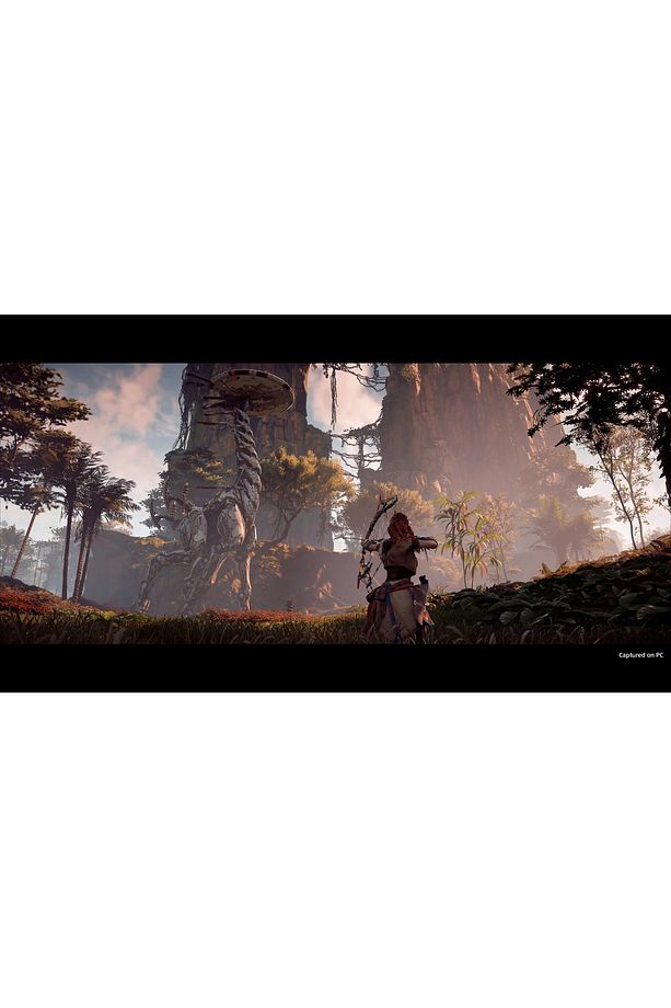 Ps4 Horizon Zero Dawn Complete Edition - 2