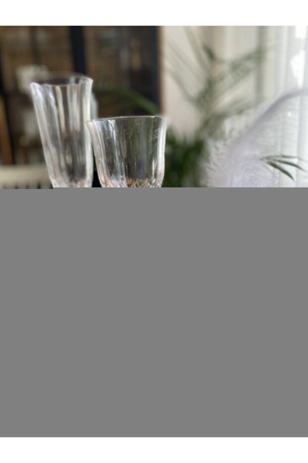 Cam Peçete Halkası - 2