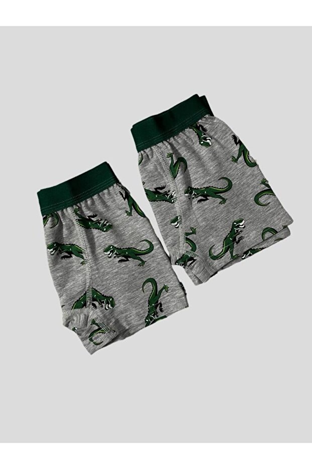 Boy's Cotton Dinosaur Patterned Gray Wide Elastic 2-Piece Boxers