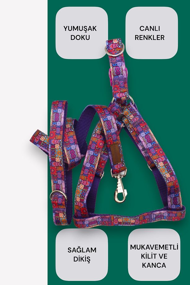 KÖPEK TASMA SET- GÖVDE TASMASI + GEZDİRME KAYIŞI - 4