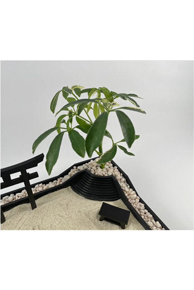 mini zen bahçesi - 4