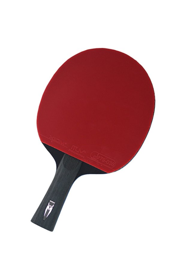 مضرب تنس الطاولة - معتمد من ITTF - 30760