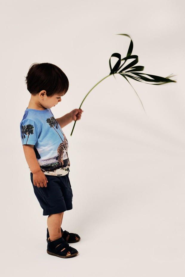 NMMJOKE SS - Model Top Box - 5