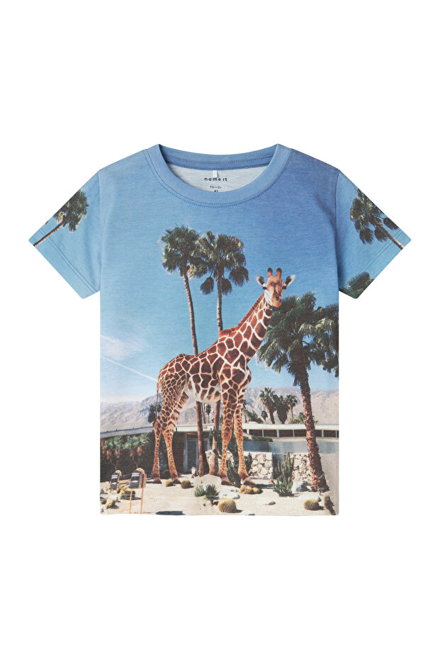 NMMJOKE SS - Model Top Box - 1