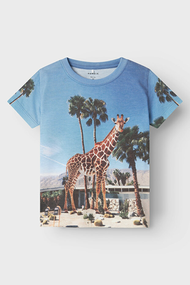 NMMJOKE SS - Model Top Box - 3