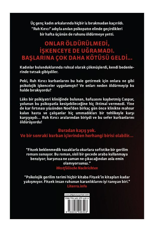 Ruh Kırıcı - Sebastian Fitzek - 2