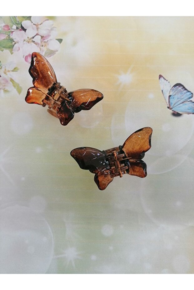 Women's Brown Butterfly Buckle Set of 2