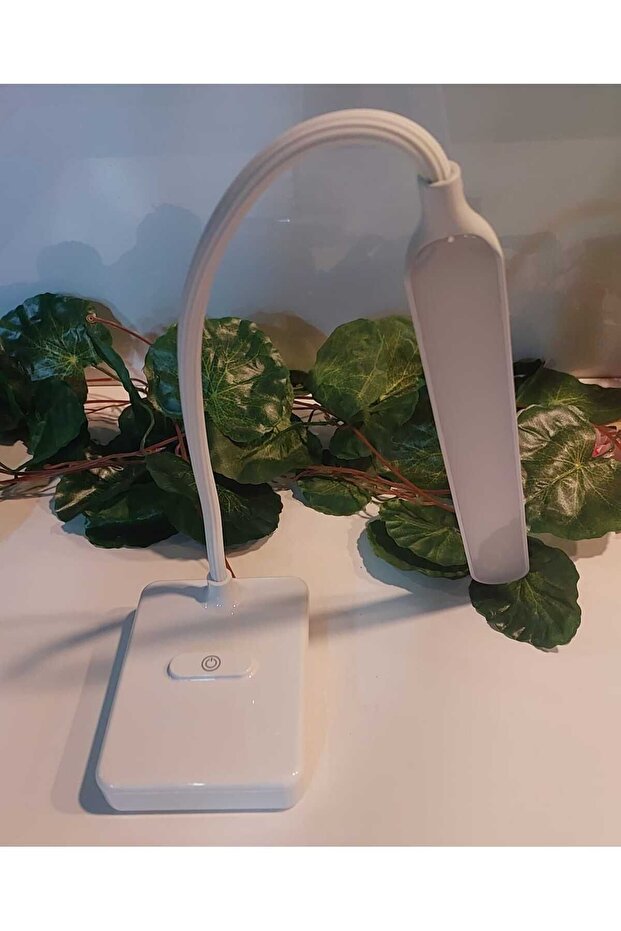 SARJLI MASA LAMBASI - 2