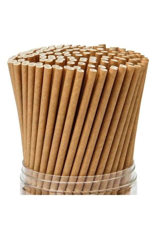 Karton Kraft Pipet 24'lü Paket - 2