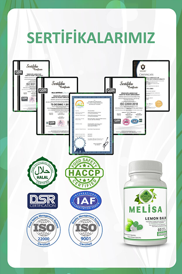 Melisa Kapsül (LEMON BALM CAPSULE) - 5