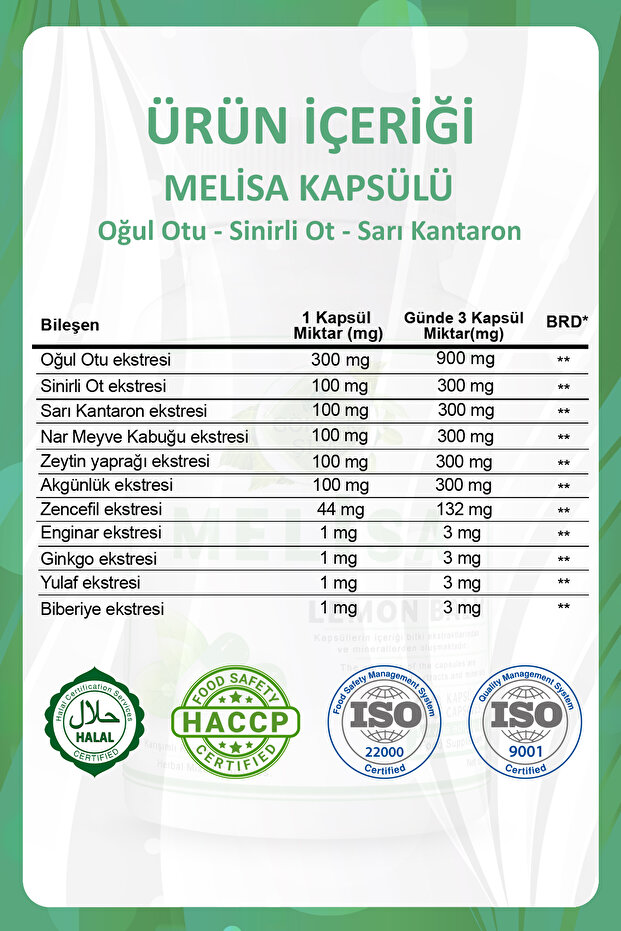 Melisa Kapsül (LEMON BALM CAPSULE) - 3