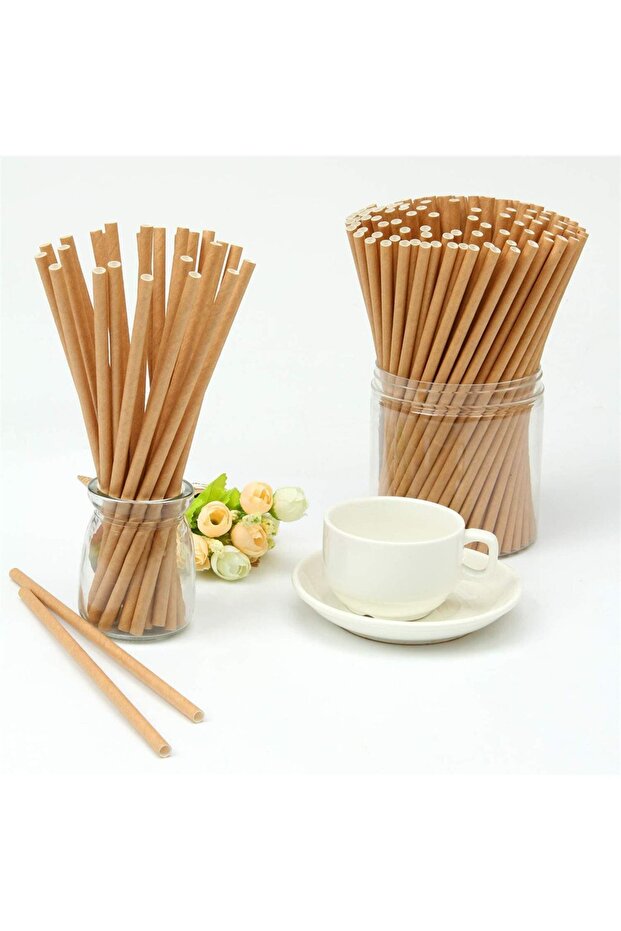 Karton Kraft Pipet 24'lü Paket - 1