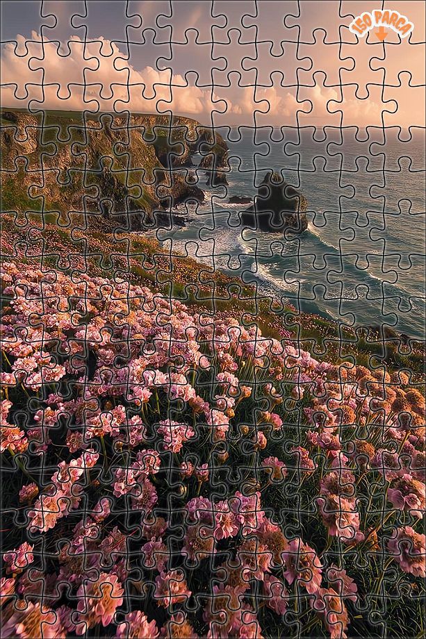 Arzunun Sahil Çiçekleri Dekoratif Çift Katlı Çerçeveli Asılabilir Ahşap Puzzle 1000 PARÇA 70X50 - 5
