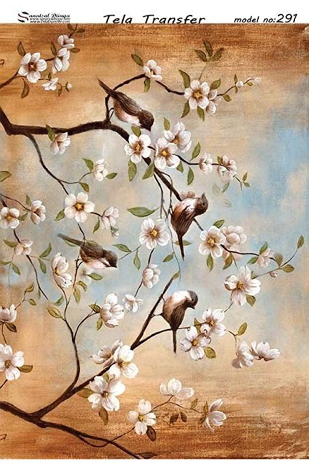 Tela Transfer Model 291 - 1