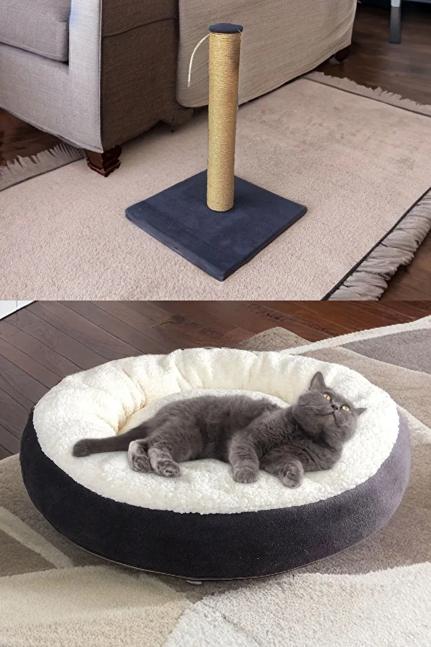 Açık Kedi Tuvaleti Taşıma Sepeti Tırmalama Simit Yatak Mama Kabı Kedi Başlangıç Seti-at8 - 5