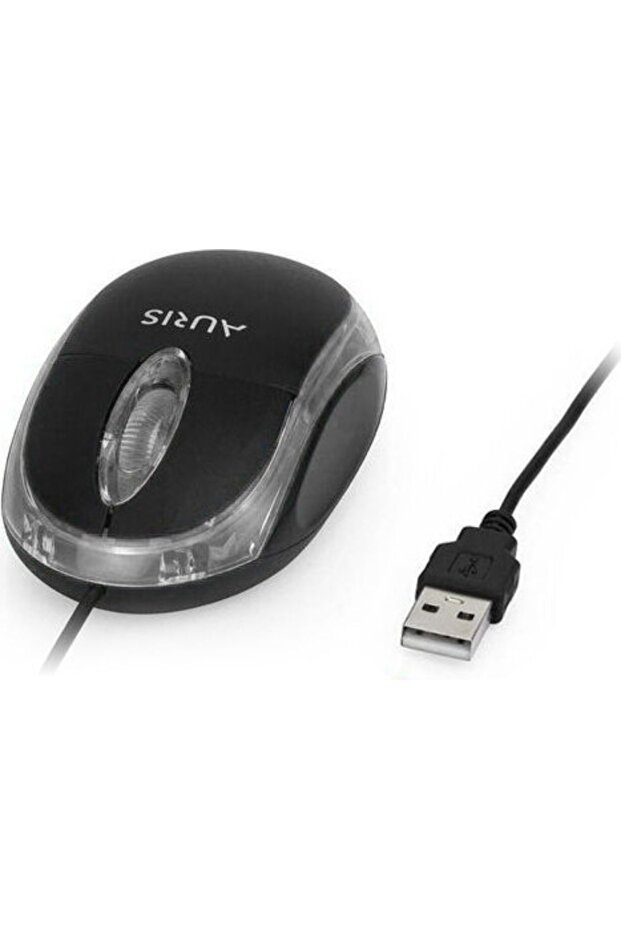 mouse