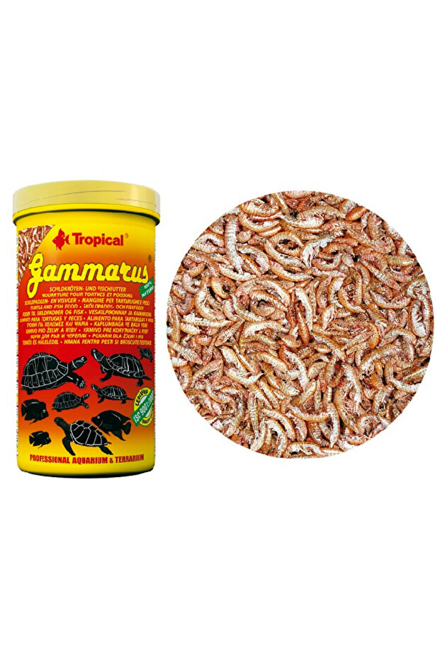Gammarus 20 GR - 1