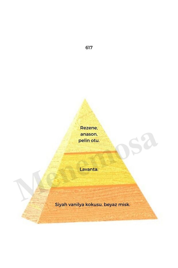 617 Erkek Parfüm Edp 50 ml Oriental - Mnms50617 - 3