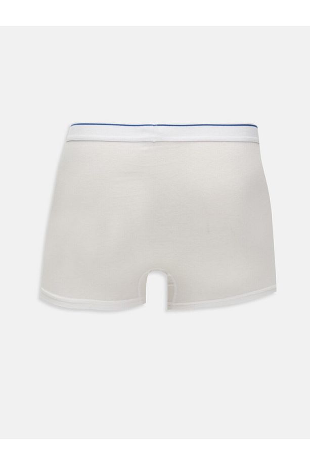 Boxer - 2