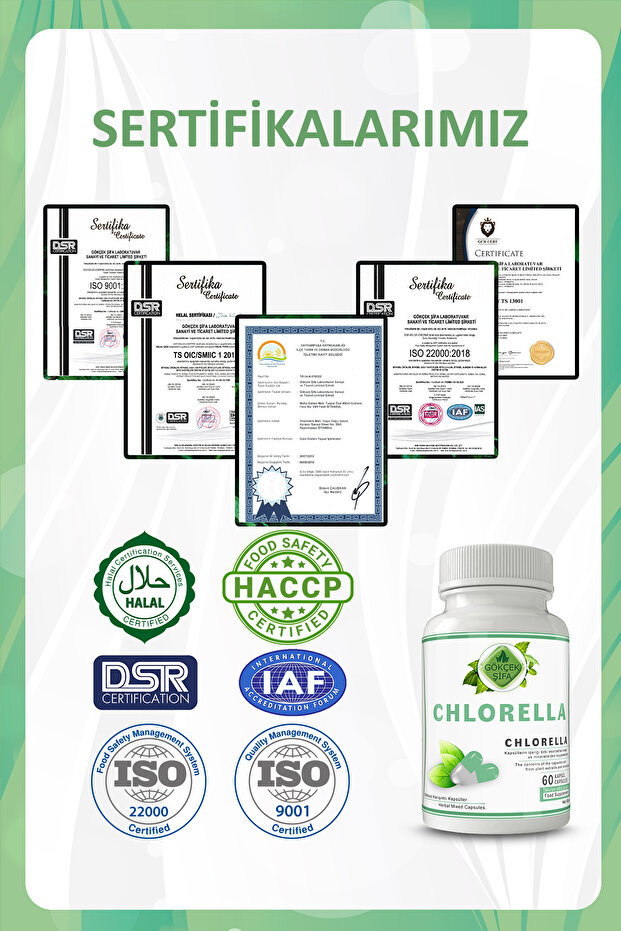 Chlorella Kapsül (CHLORELLA CAPSULE) - 5