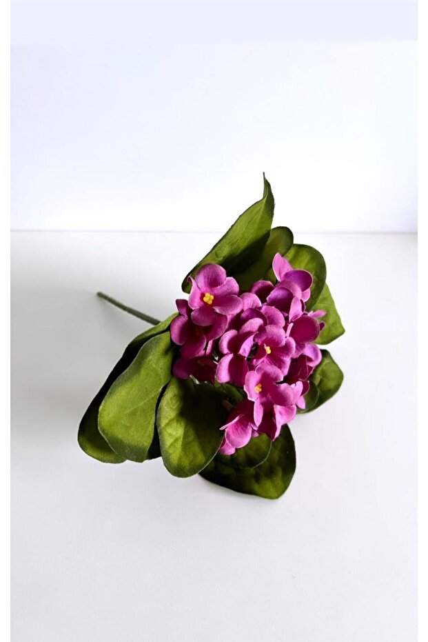 البنفسجي الاصطناعي الوردي - 2