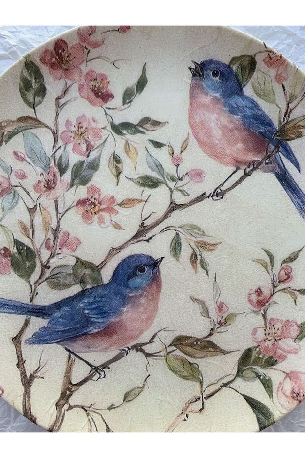 Mavı Pembe Kuş Desenli Çiçekli Duvar Tabağı Dekoratif Bahçe Balkon Mutfak Salon Duvar Süsü No:167 - 5