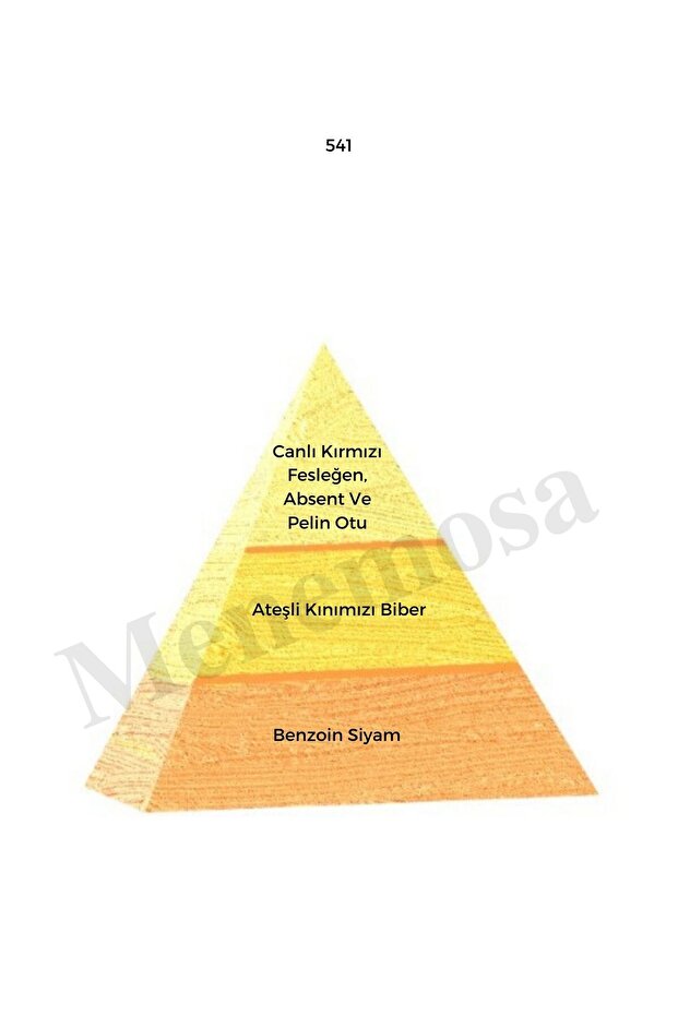 541 Erkek Parfüm Edp 50 ml Oriental - Mnms50541 - 3