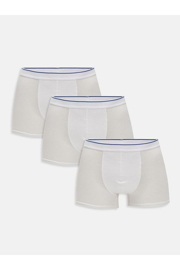 Boxer - 1