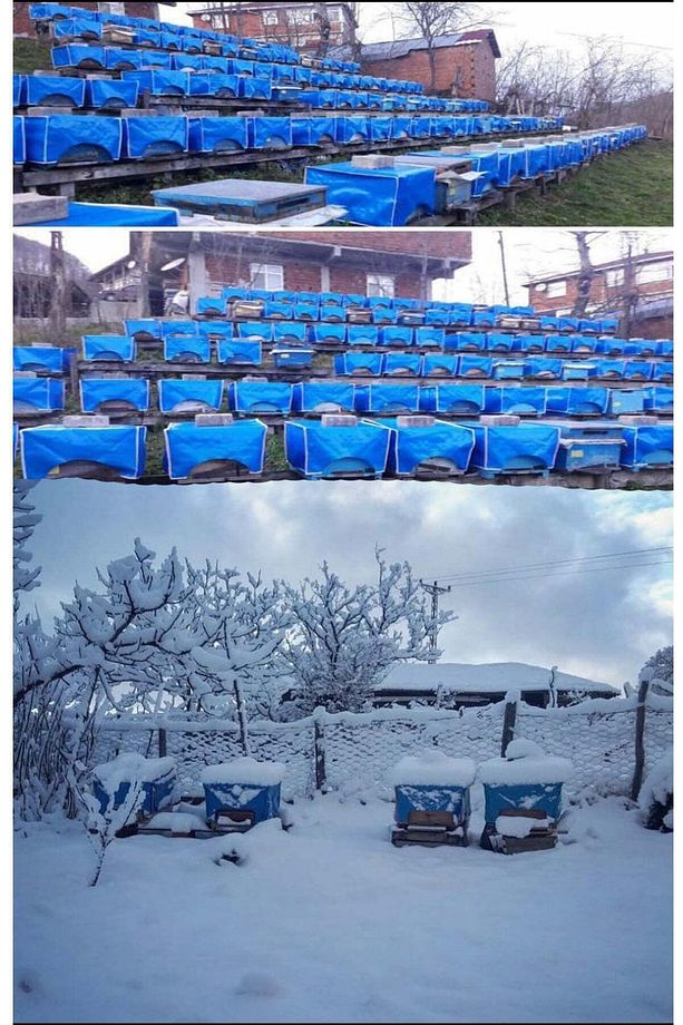 Arı Kovanı Branda Çadırı 10 Adet - 1